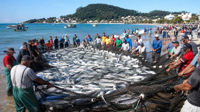 Ψαράδες έριξαν δίχτυα μία φορά και έπιασαν 14.096 κέφαλους στη Βραζιλία | Επικαιρότητα στο PlusTV.gr
