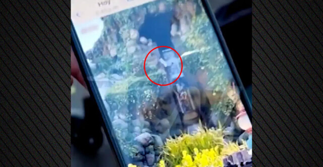 Έφηβος έπεσε από καταρράκτη σε ατραξιόν της Disneyland στην Καλιφόρνια, δείτε βίντεο