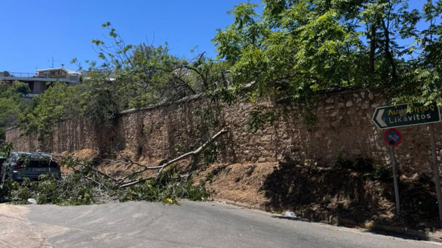 Μεγάλα κλαδιά έπεσαν στο οδόστρωμα και διέκοψαν την κυκλοφορία κοντά στην πλατεία Μαβίλη | Επικαιρότητα στο PlusTV.gr