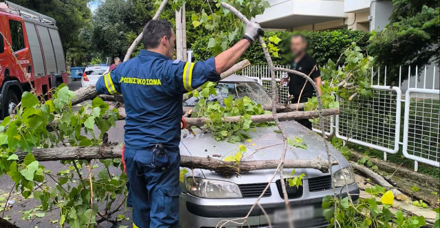 ΔΕΝΤΡΟ ΕΠΕΣΕ ΠΑΝΩ ΣΕ ΑΥΤΟΚΙΝΗΤΟ ΣΤΟ ΜΕΝΙΔΙ, ΔΕΙΤΕ ΦΩΤΟΓΡΑΦΙΕΣ