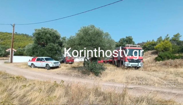 ΕΣΒΗΣΕ Η ΦΩΤΙΑ ΣΤΗΝ ΠΕΡΑΧΩΡΑ ΛΟΥΤΡΑΚΙΟΥ ΣΤΗ ΛΙΜΝΗ ΒΟΥΛΙΑΓΜΕΝΗΣ