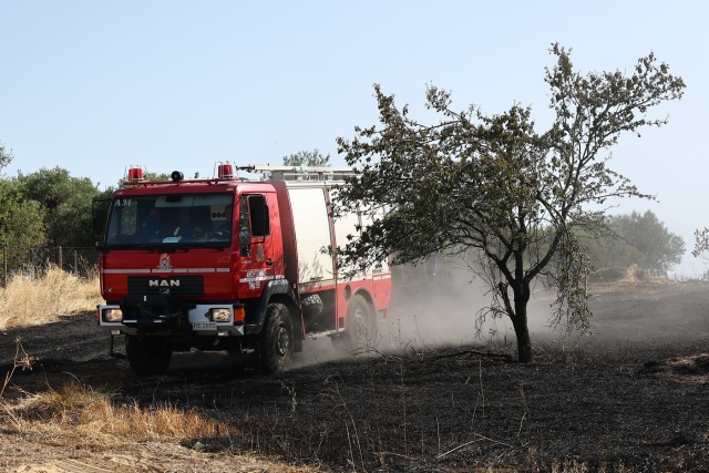 Φωτιά τώρα στα Τρίκαλα, καίει χαμηλή βλάστηση στο Γενέσι, πετάνε 4 εναέρια | Επικαιρότητα στο PlusTV.gr