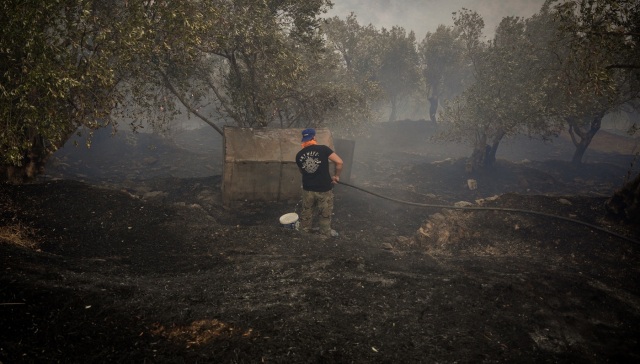 1.000 καμένα στρέμματα η πρώτη εκτίμηση από τη φωτιά στο Πλωμάρι, αγωνία για τις αναζωπυρώσεις
