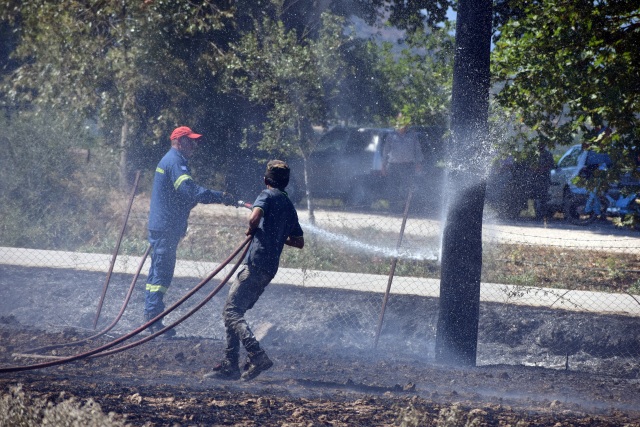 Συνελήφθη στέλεχος του ΔΕΔΔΗΕ για τη φωτιά στο νότιο Ρέθυμνο | Επικαιρότητα στο PlusTV.gr