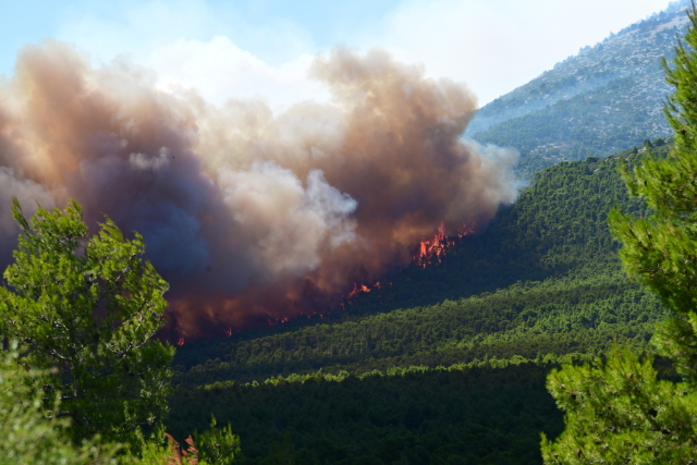 H ΣΥΜΠΕΡΙΦΟΡΑ ΤΗΣ ΦΩΤΙΑΣ ΣΤΗ ΒΟΙΩΤΙΑ ΗΤΑΝ ΚΑΤΑ ΔΙΑΣΤΗΜΑΤΑ ΑΚΡΑΙΑ, ΛΕΕΙ Ο ΠΥΡΟΜΕΤΕΩΡΟΛΟΓΟΣ ΘΕΟΔΩΡΟΣ ΓΙΑΝΝΑΡΟΣ, ΤΙ ΕΔΕΙΞΑΝ ΤΑ ΔΟΡΥΦΟΡΙΚΑ ΔΕΔΟΜΕΝΑ