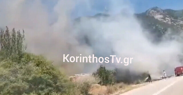Μεγάλη φωτιά με ισχυρούς ανέμους στο Σκάλωμα Φωκίδας: Ήχησε 112 για εκκένωση 4 περιοχών «απομακρυνθείτε προς Ευπάλιο και Πευκάκι»