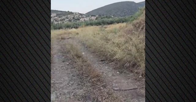 Βίντεο: Εδώ εντοπίστηκε η σορός του ψυχολόγου που δολοφόνησαν Ινδοί στο Ναύπλιο, σε αγροτική περιοχή θαμμένη κάτω από δέντρα