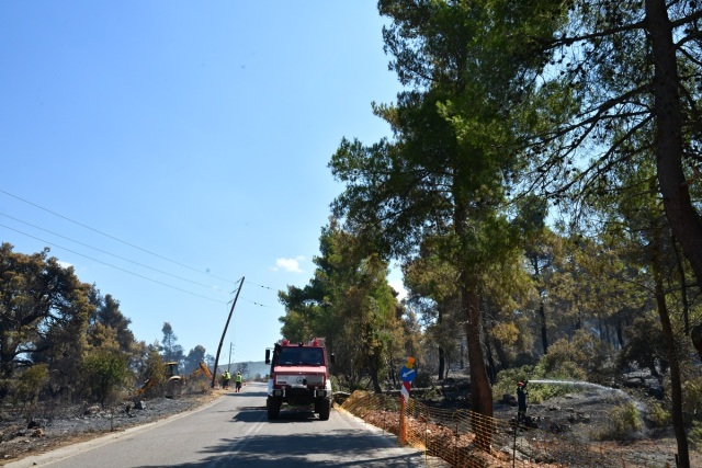 Τέσσερις συλλήψεις για εργασίες με φλόγιστρο, τροχό και χρήση ψησταριάς κοντά σε δασικές εκτάσεις