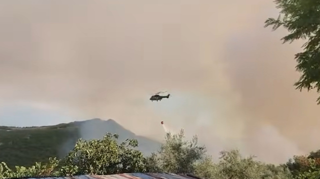 Δασική πυρκαγιά στην περιοχή της Μαλακάστρα στην Αλβανία, δείτε βίντεο | Επικαιρότητα στο PlusTV.gr