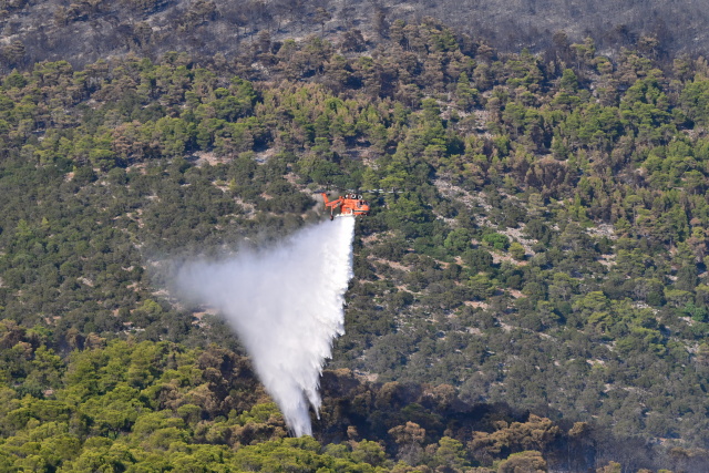 Χωρίς ενεργό μέτωπο η πυρκαγιά στη Δυτική Αττική, συνεχίζονται οι επιχειρήσεις στα καπνογόνα σημεία, σε επιφυλακή για αναζωπυρώσεις