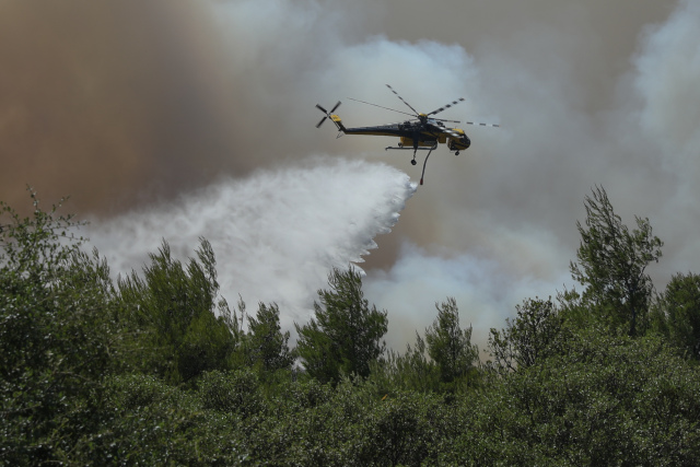Φωτιά στο Σπήλαιο Ορεστιάδας, σηκώθηκε ελικόπτερο | Επικαιρότητα στο PlusTV.gr