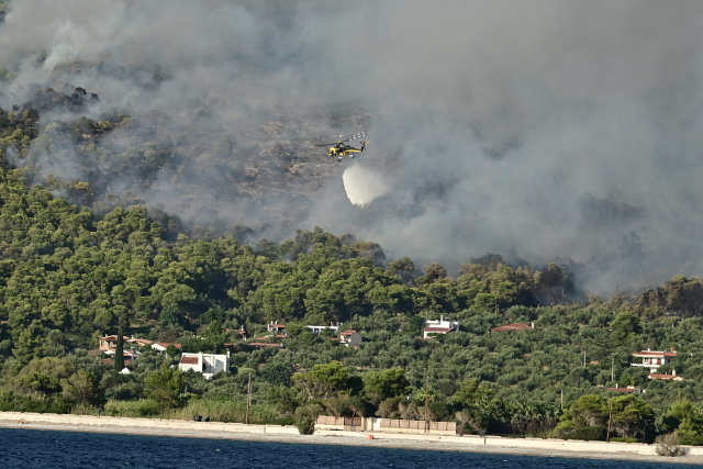 Τουρνάς: Πάνω από 400 φωτιές σε 10 ημέρες, από αμέλεια το 90% των περιστατικών | Επικαιρότητα στο PlusTV.gr