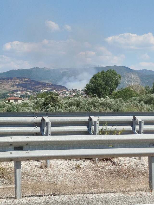 Φωτιά τώρα σε δάσος στο Κομπότι Άρτας, σηκώθηκαν τέσσερα αεροσκάφη | Επικαιρότητα στο PlusTV.gr
