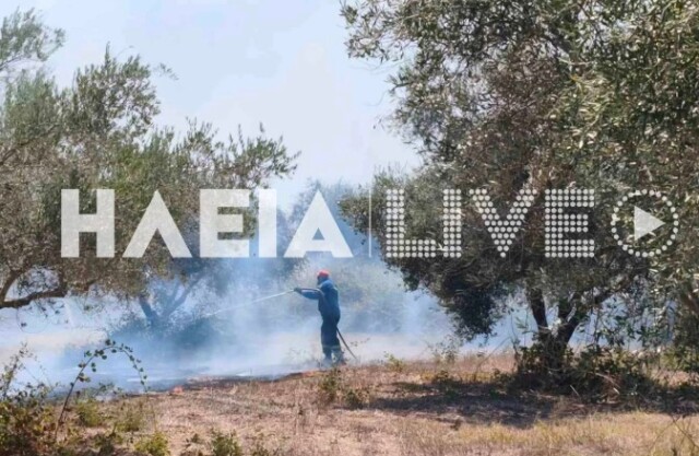 Φωτιά στο Χάβαρι Ηλείας, σηκώθηκαν 5 αεροσκάφη | Επικαιρότητα στο PlusTV.gr