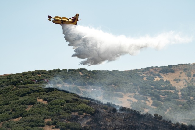 Ακραίος κίνδυνος πυρκαγιάς αύριο (14/8) σε Αττική, Βοιωτία, Εύβοια, Αργολίδα και Κορινθία | Επικαιρότητα στο PlusTV.gr