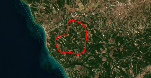 Σίβηρη: Στα 2.480 στρέμματα η περίμετρος της καμένης εκτασης σύμφωνα με το Copernicus | Επικαιρότητα στο PlusTV.gr