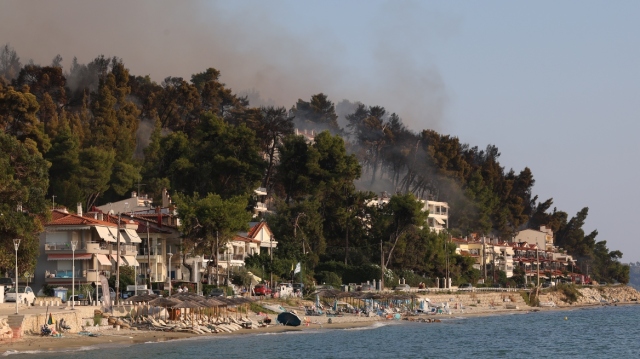 ΧΑΛΚΙΔΙΚΗ: ΞΕΚΙΝΗΣΑΝ ΟΙ ΑΙΤΗΣΕΙΣ ΚΡΑΤΙΚΗΣ ΑΡΩΓΗΣ ΓΙΑ ΤΙΣ ΕΠΙΧΕΙΡΗΣΕΙΣ ΠΟΥ ΕΠΛΗΓΗΣΑΝ ΑΠΟ ΤΗΝ ΠΥΡΚΑΓΙΑ ΣΤΗ ΣΙΒΗΡΗ
