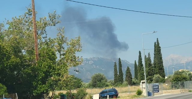 ΦΩΤΙΑ ΣΕ ΓΕΩΡΓΙΚΗ ΕΚΤΑΣΗ ΣΤΗΝ ΤΡΟΙΖΗΝΑ