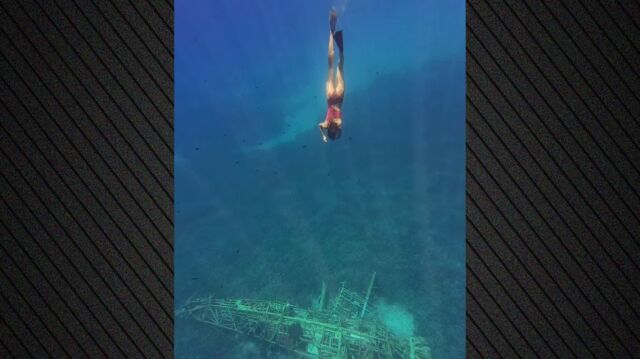 Marina Vernicos Dives to Sunken German WWII Seaplane