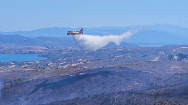 Πώς τα εναέρια μέσα περιόρισαν άμεσα τη φωτιά στη Δροσοπηγή Αφιδνών, δείτε βίντεο με τις «χειρουργικές» ρίψεις από αέρος