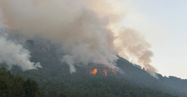 Μαίνεται η μεγάλη φωτιά στην περιοχή της Τραπεζίτσας στην Κόνιτσα: Πάνω από 150 πυροσβέστες και 12 ενάερια μέσα στη μάχη με τις φλόγες
