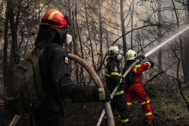 Χωρίς ενεργό μέτωπο η πυρκαγιά στη Μακρυκάπα Εύβοιας | Επικαιρότητα στο LivePress.gr