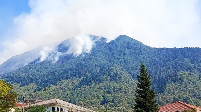 Όγδοη ημέρα μάχης με τη μεγάλη φωτιά στην Κόνιτσα, καίει πυκνό δάσος, σηκώθηκαν τα εναέρια μέσα