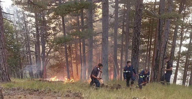 Η μάχη των δασοκομάντος με τις φλόγες στην Κόνιτσα, καλύτερη η εικόνα της πυρκαγιάς, δείτε βίντεο και φωτογραφίες