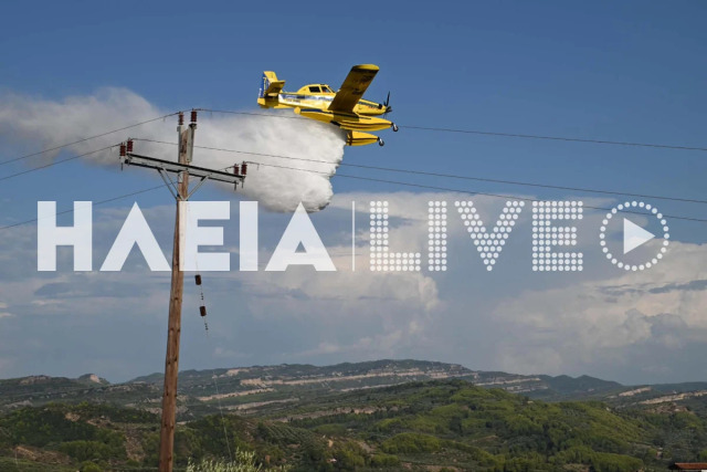 Φωτιά αγροτοδασική έκταση στο Χειμαδιό Ηλείας, σηκώθηκαν 3 αεροσκάφη | Επικαιρότητα στο PlusTV.gr