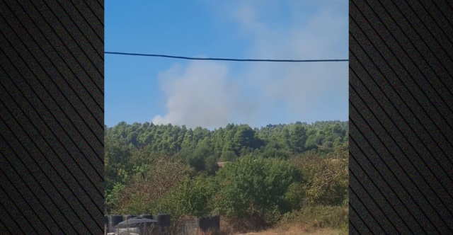 Φωτιά σε δάσος στην Ελάνη Κασσάνδρας Χαλκιδικής: 112 για ετοιμότητα, ενισχύθηκαν οι δυνάμεις της Πυροσβεστικής, βίντεο