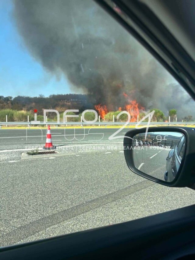 Φωτιά τώρα στο Στρυμωνικό Σερρών, σηκώθηκαν δύο εναέρια | Επικαιρότητα στο PlusTV.gr