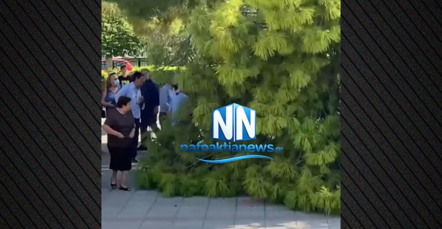 Τρεις τραυματίες μετά από πτώση μεγάλου κλαδιού έξω από εκκλησία στον Λυγιά Ναυπάκτου, δείτε βίντεο
