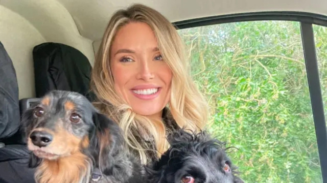 Παράτησε τη δικηγορία και έγινε dog walker: Δουλεύει τις μισές ώρες και λέει ότι βγάζει πολλά περισσότερα