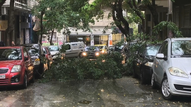 Κακοκαιρία: Πτώση δέντρου και διακοπή της κυκλοφορίας στη συμβολή της Διδότου με τη Χαριλάου Τρικούπη