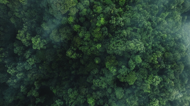 Μόλυνση από όζον: Πάνω από το ένα τρίτο του πληθυσμού του πλανήτη εκτέθηκε σε επικίνδυνα επίπεδα το 2026