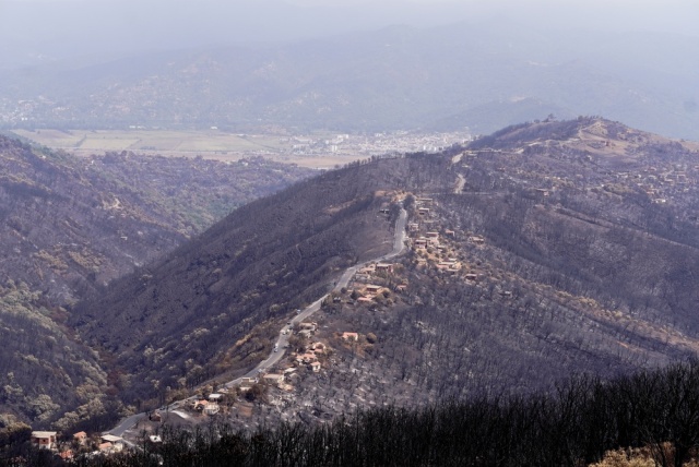 Η Αλγερία επεκτείνει τη θανατική ποινή σε εμπρηστές δασών | Επικαιρότητα στο LivePress.gr