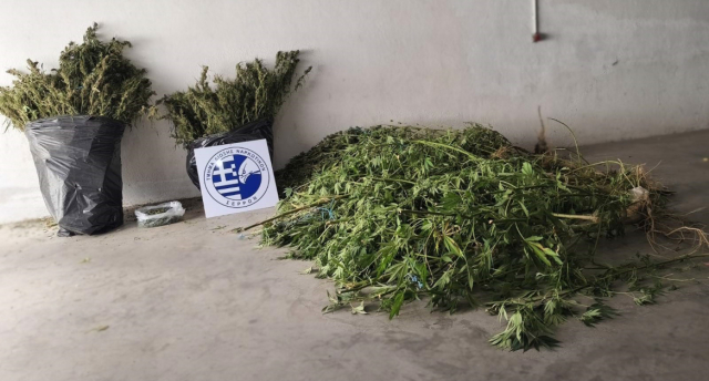 Πάνω από 17 κιλά ναρκωτικών ξετρύπωσε ο αστυνομικός σκύλος Roxy στις Σέρρες, μία σύλληψη | Επικαιρότητα στο PlusTV.gr