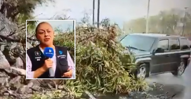 Σκηνές τρόμου σε live τηλεοπτική μετάδοση στο Μεξικό με αυτοκίνητο να παρασύρει δημοσιογράφο, δείτε βίντεο