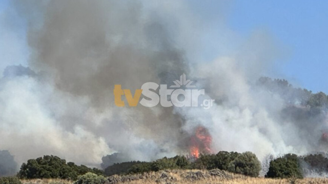 Φωτιά τώρα στη Λαμία, καίει ξερά χόρτα - Σηκώθηκαν 3 εναέρια μέσα | Επικαιρότητα στο PlusTV.gr