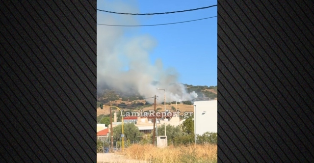 Φωτιά τώρα στη Λαμία: Επιχειρούν δύο αεροσκάφη και ένα ελικόπτερο | Επικαιρότητα στο LivePress.gr
