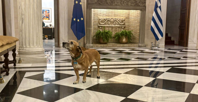 Δημοσιογράφοι που συνόδευσαν τον Ρούμπιο στο Μέγαρο Μαξίμου αποθεώνουν... τον Πίνατ | Επικαιρότητα στο LivePress.gr