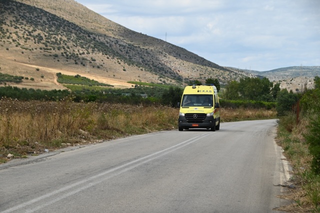 Τραγωδία στην Αχαΐα: Νεκρός άνδρας που καταπλακώθηκε από δέντρο την ώρα που το έκοβε | Επικαιρότητα στο LivePress.gr
