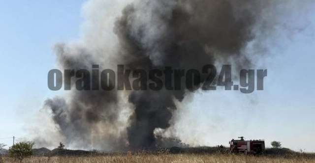 Φωτιά στη δυτική Θεσσαλονίκη με πυκνούς μαύρους καπνούς ορατούς από μεγάλη απόσταση | Επικαιρότητα στο LivePress.gr