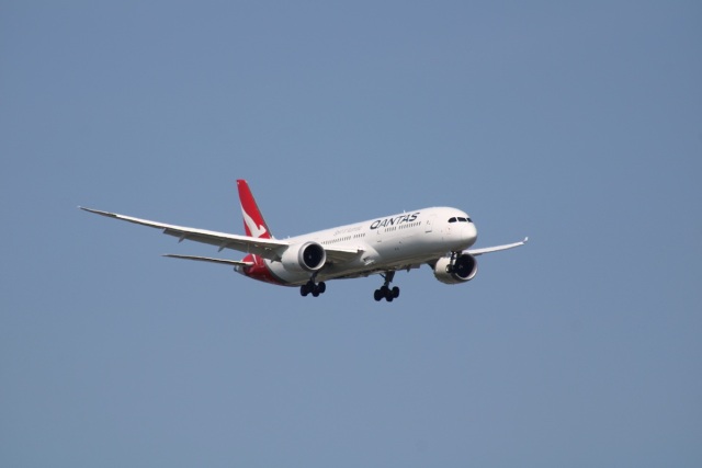 Πτήση της Qantas καθηλώθηκε στη Ρώμη λόγω… κοριών | Επικαιρότητα στο LivePress.gr