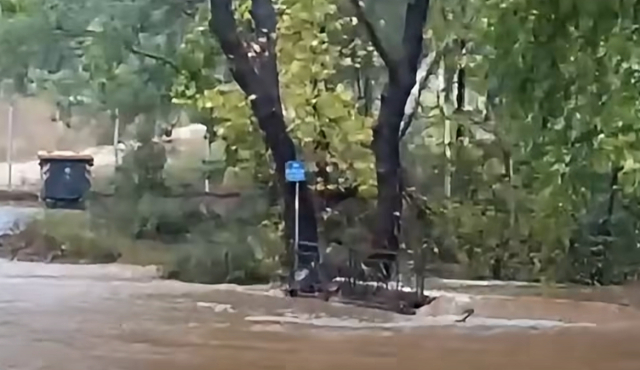 Διακοπή κυκλοφορίας στη λεωφόρο Αθηνών στον Ωρωπό λόγω συσσώρευσης υδάτων | Επικαιρότητα στο LivePress.gr