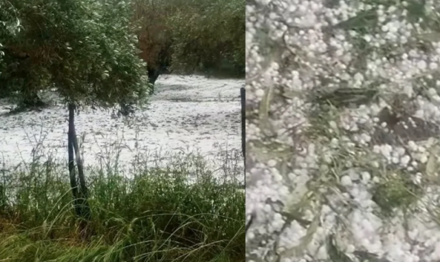 Έντονη χαλαζόπτωση κατέστρεψε καλλιέργειες στην Άρτα