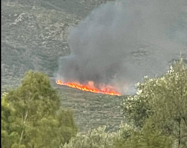 Έσβησε η φωτιά στη Σπάρτη, στην περιοχή Άγιοι Ανάργυροι - Παραμένουν δυνάμεις πυρόσβεσης στο σημείο