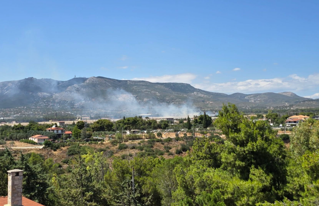 Φωτιά στο Τατόι, κοντά στο αεροδρόμιο
