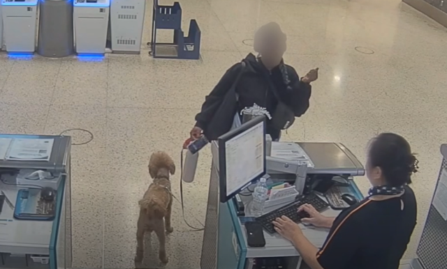 &Tau;&omicron; &beta;ί&nu;&tau;&epsilon;&omicron; &pi;&omicron;&upsilon; &sigma;&upsilon;&gamma;&kappa;ί&nu;&eta;&sigma;&epsilon; &tau;&omicron; &Lambda;&alpha;&sigmaf; &Beta;έ&gamma;&kappa;&alpha;&sigmaf;: Ά&kappa;&alpha;&rho;&delta;&eta; &tau;&omicron;&upsilon;&rho;ί&sigma;&tau;&rho;&iota;&alpha; &pi;&alpha;&rho;ά&tau;&eta;&sigma;&epsilon; &tau;&omicron; &kappa;&omicron;&upsilon;&tau;ά&beta;&iota; &tau;&eta;&sigmaf; &sigma;&tau;&omicron; &alpha;&epsilon;&rho;&omicron;&delta;&rho;ό&mu;&iota;&omicron; &kappa;&alpha;&iota; &sigma;&upsilon;&nu;&epsilon;&lambda;ή&phi;&theta;&eta;, &delta;&epsilon;ί&tau;&epsilon; &beta;ί&nu;&tau;&epsilon;&omicron;