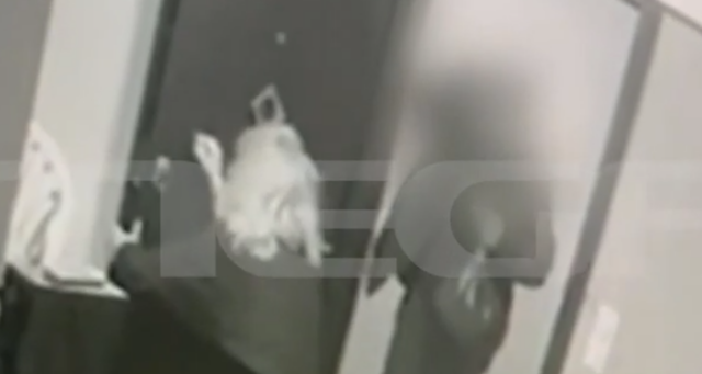 &Chi;&alpha;&sigma;&tau;&omicron;ύ&kappa;&iota;&zeta;&epsilon; &tau;&eta; &mu;&eta;&tau;έ&rho;&alpha; &tau;&eta;&sigmaf; 25&chi;&rho;&omicron;&nu;&eta;&sigmaf; &Alpha;&mu;&epsilon;&Alpha; &pi;&omicron;&upsilon; &tau;&omicron;&nu; &kappa;&alpha;&tau;ή&gamma;&gamma;&epsilon;&iota;&lambda;&epsilon; &gamma;&iota;&alpha; &sigma;&epsilon;&xi;&omicron;&upsilon;&alpha;&lambda;&iota;&kappa;ή &kappa;&alpha;&kappa;&omicron;&pi;&omicron;ί&eta;&sigma;&eta; &omicron; 64&chi;&rho;&omicron;&nu;&omicron;&sigmaf; &sigma;&tau;&eta;&nu; &Kappa;&upsilon;&psi;έ&lambda;&eta;, &beta;ί&nu;&tau;&epsilon;&omicron; &nu;&tau;&omicron;&kappa;&omicron;&upsilon;&mu;έ&nu;&tau;&omicron;